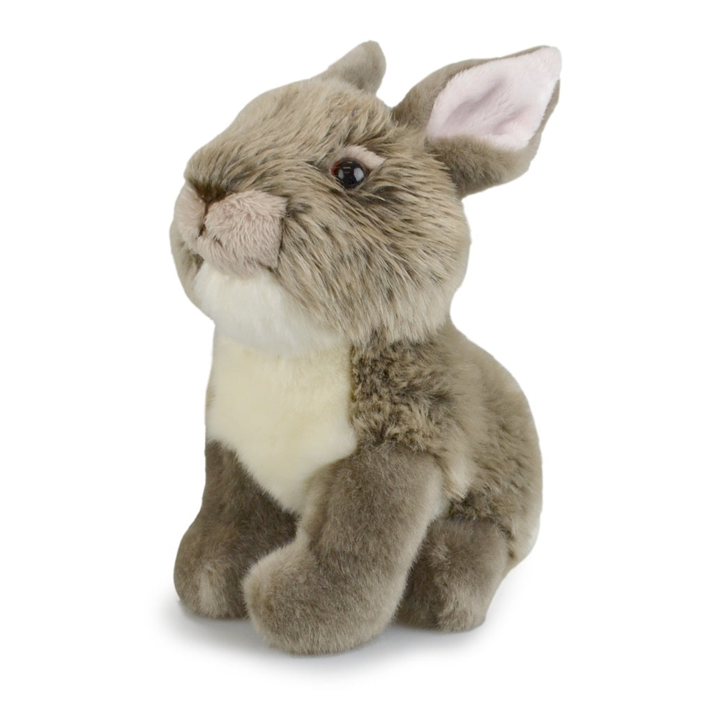 Toys - Soft Plush Animals
