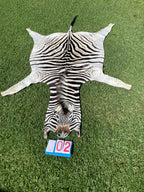 Specialty Skin - South African Zebra Skin (Real)