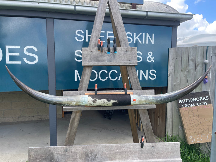 Mounted Cow Horns 27 (delivery extra on request)