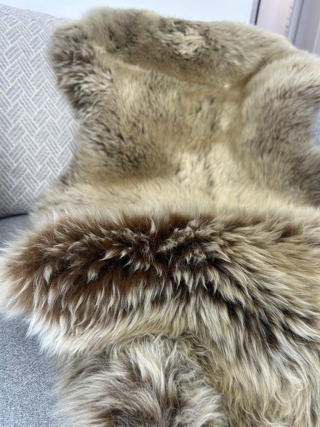 Sheepskin Rug - Cappuccino