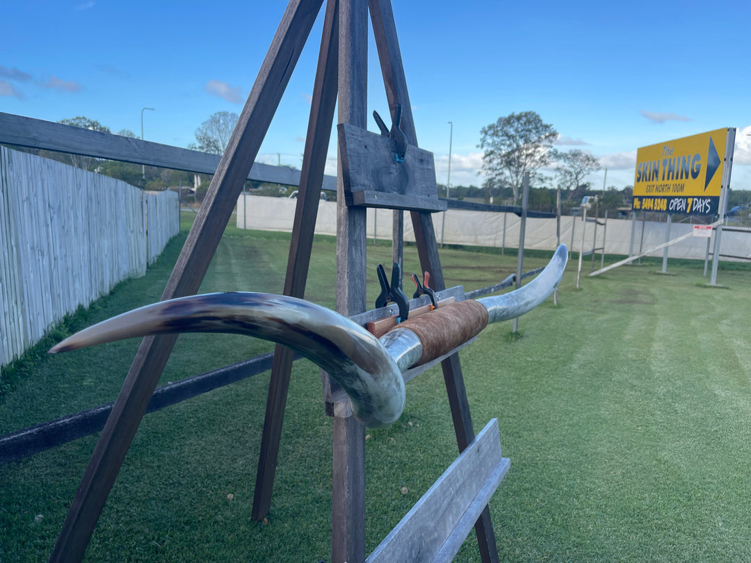 Mounted Cow Horns 53 (this set free delivery,can be dismantled )