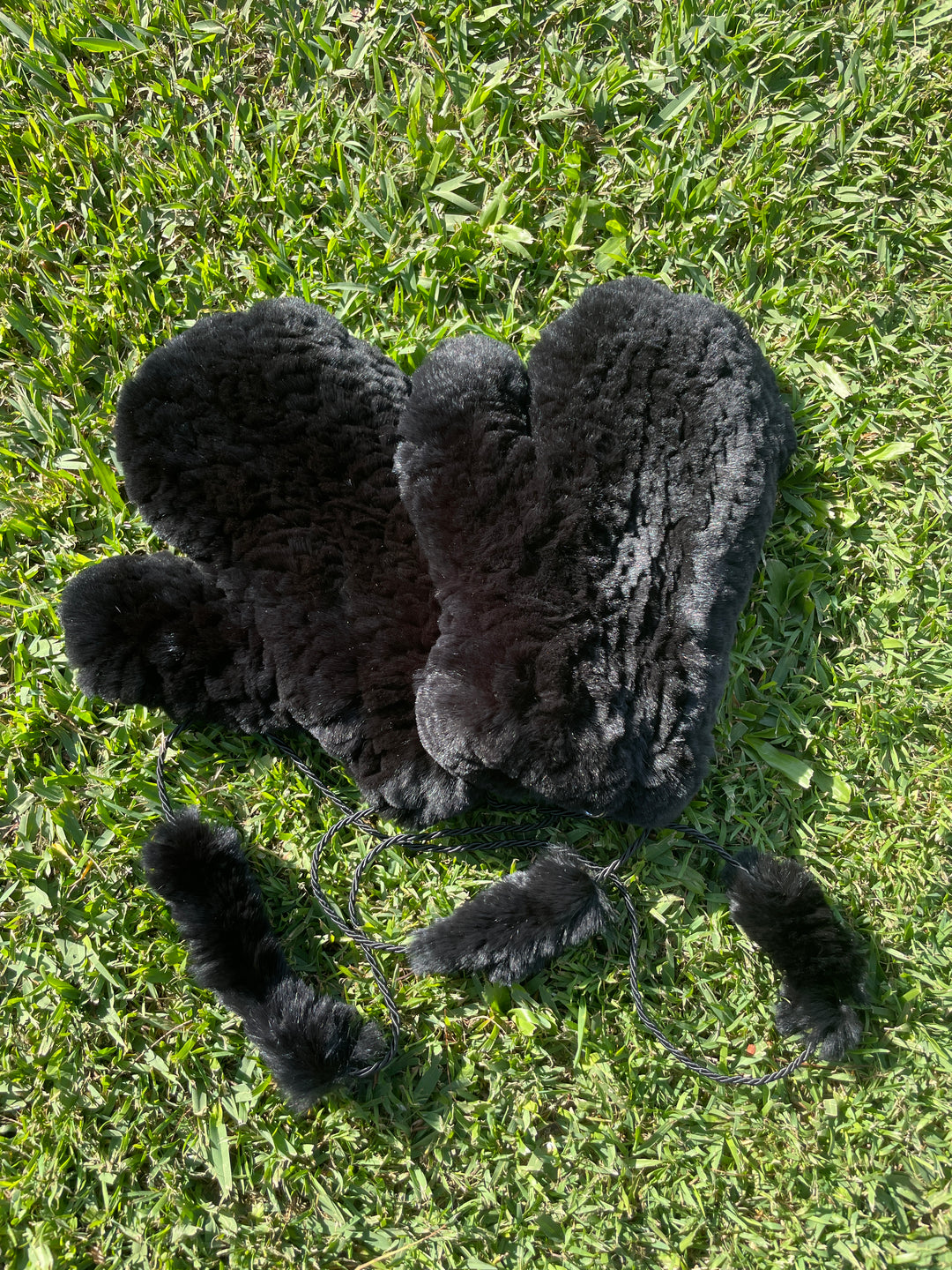 Mittens - Rex Rabbit