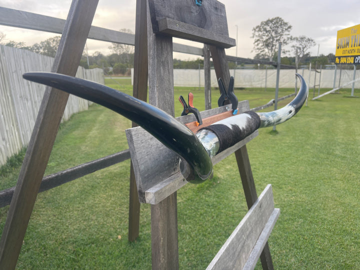 Mounted Cow Horns 22 (delivery extra on request)