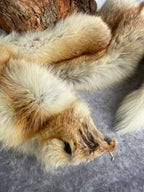 Specialty Skin - Fox Skins