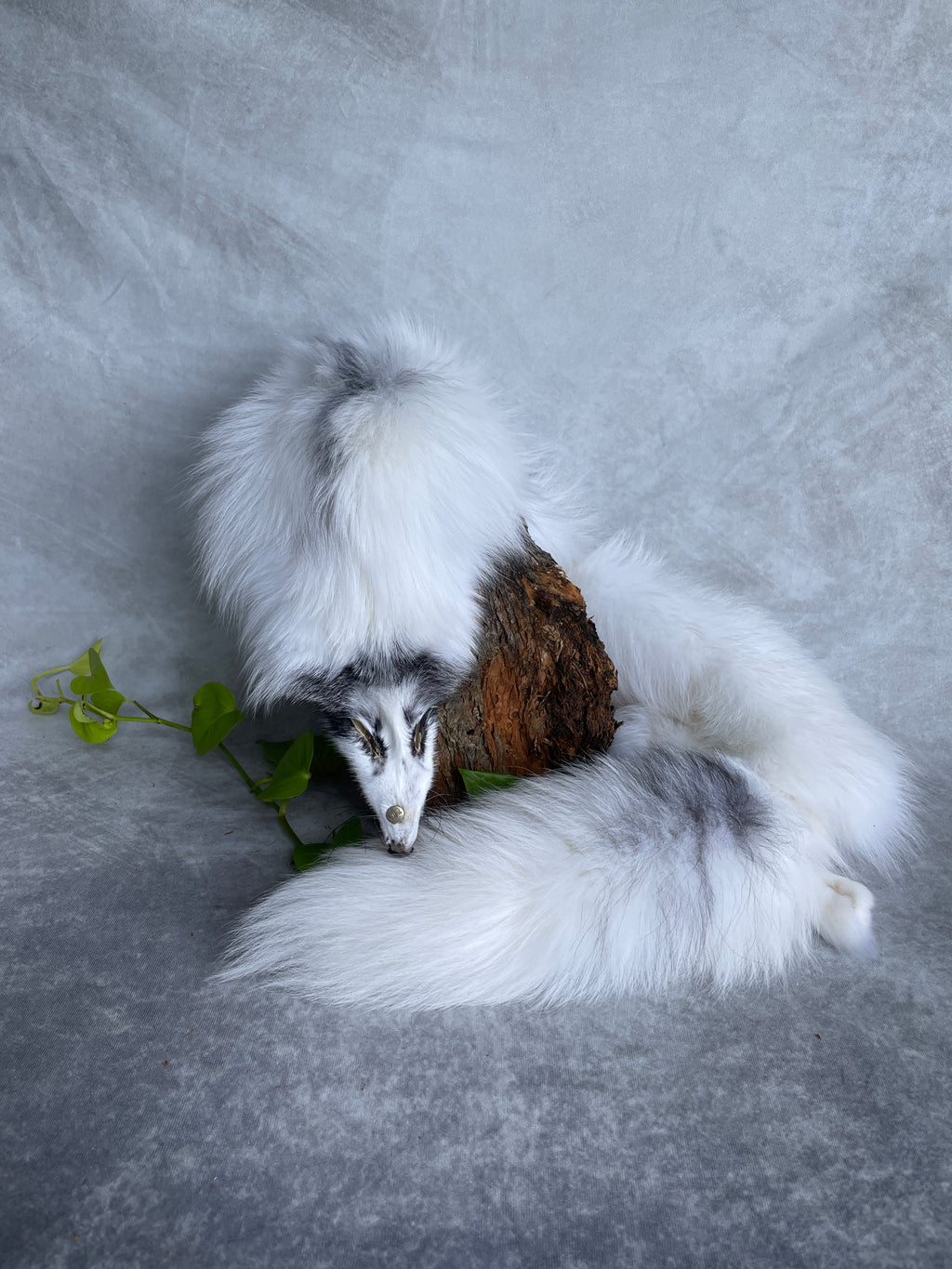 Specialty Skin - Fox Skins