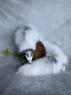 Specialty Skin - Fox Skins