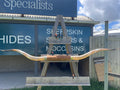 Mounted Cow Horns 35 (delivery extra on request)