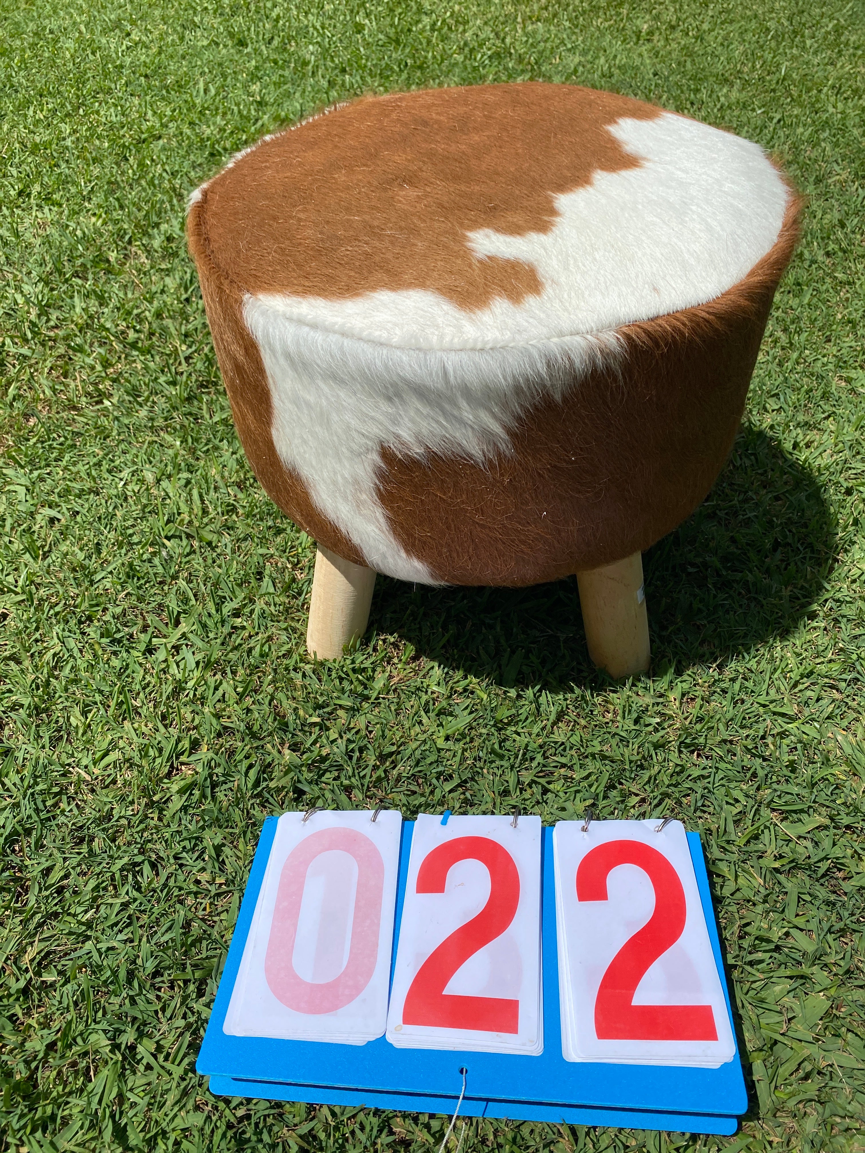 Cowhide Footstools