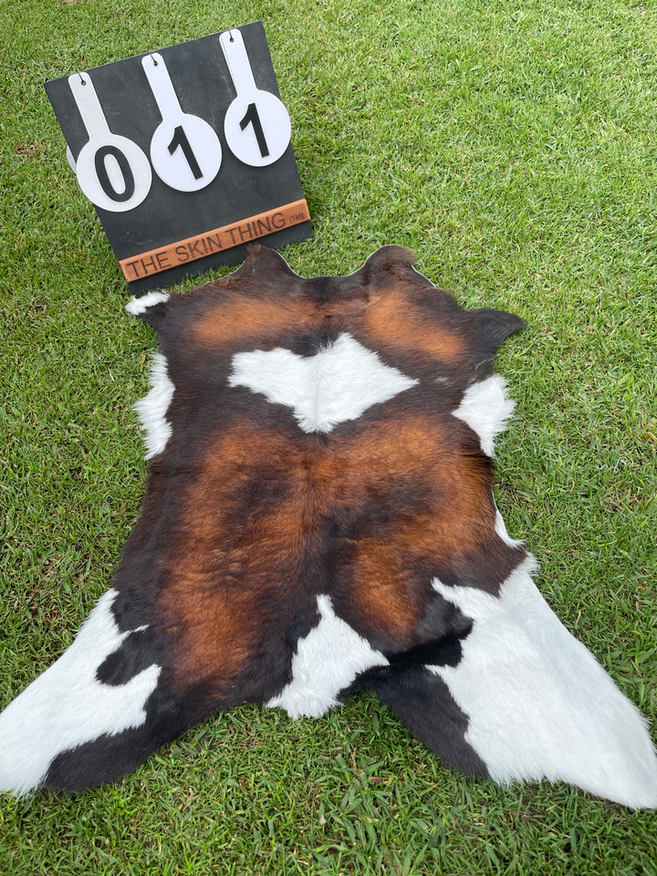 Cowhide - Calf Skins