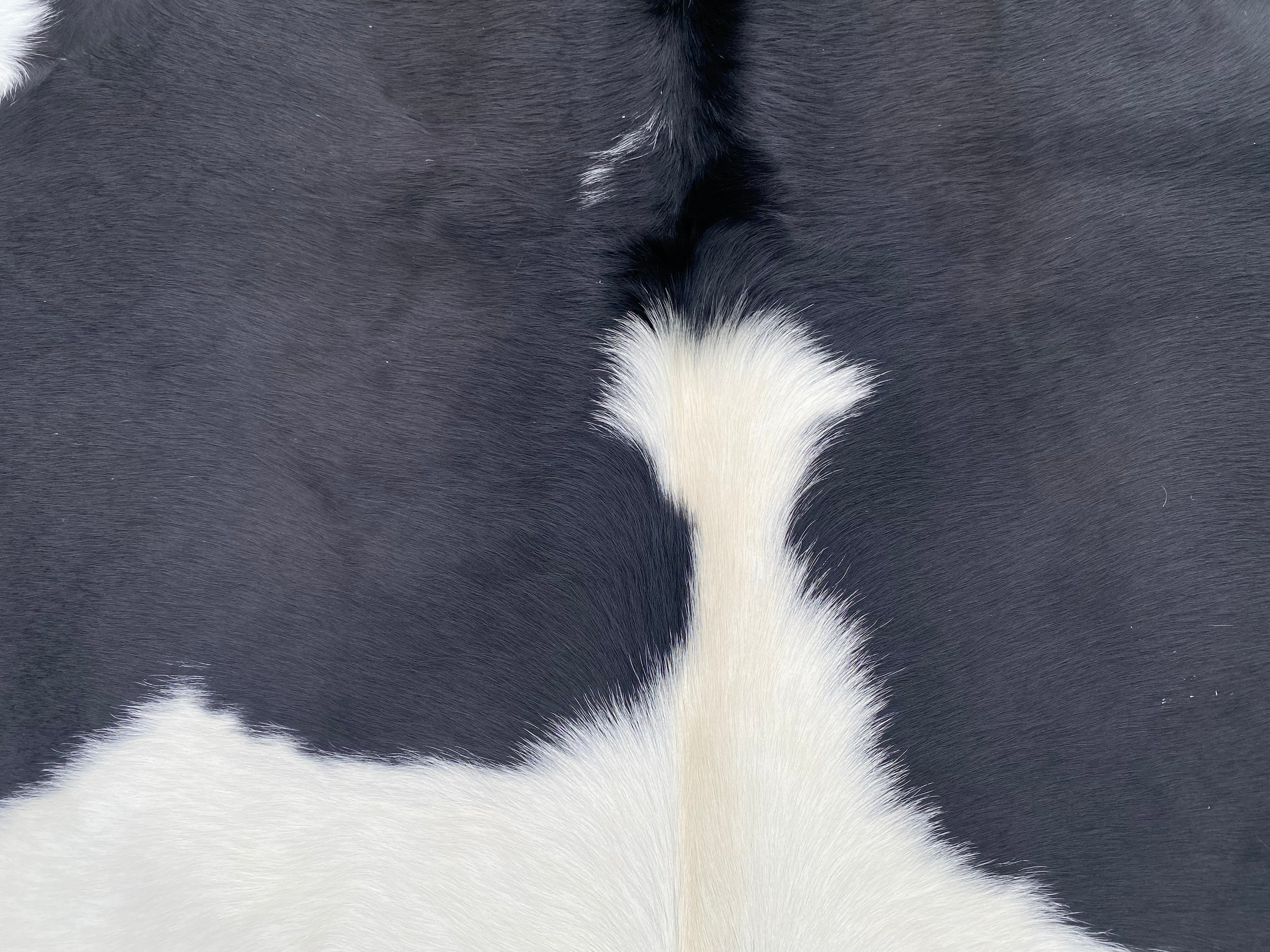Cowhide 13 Huge Black And White