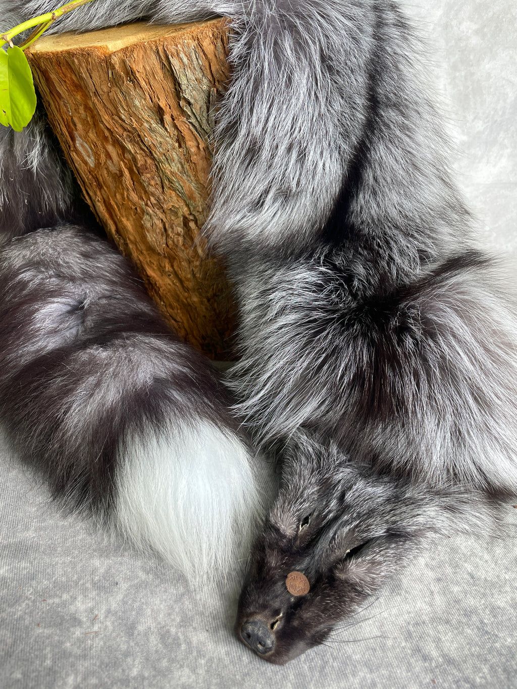 Specialty Skin - Fox Skins