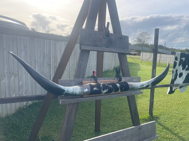 Mounted Cow Horns 05 (delivery extra on request)