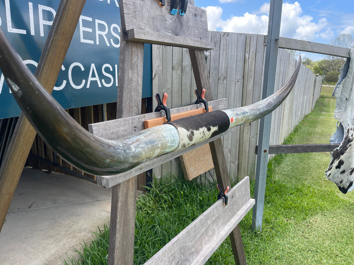 Mounted Cow Horns 27 (delivery extra on request)
