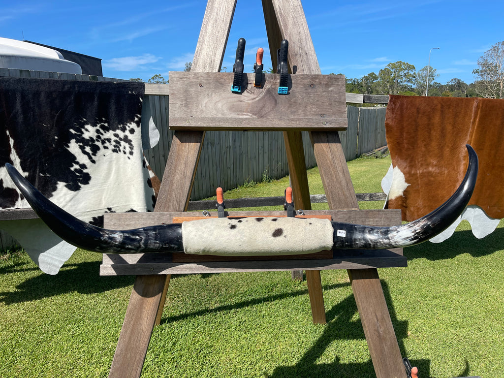 Mounted Cow Horns 05 (delivery extra on request)