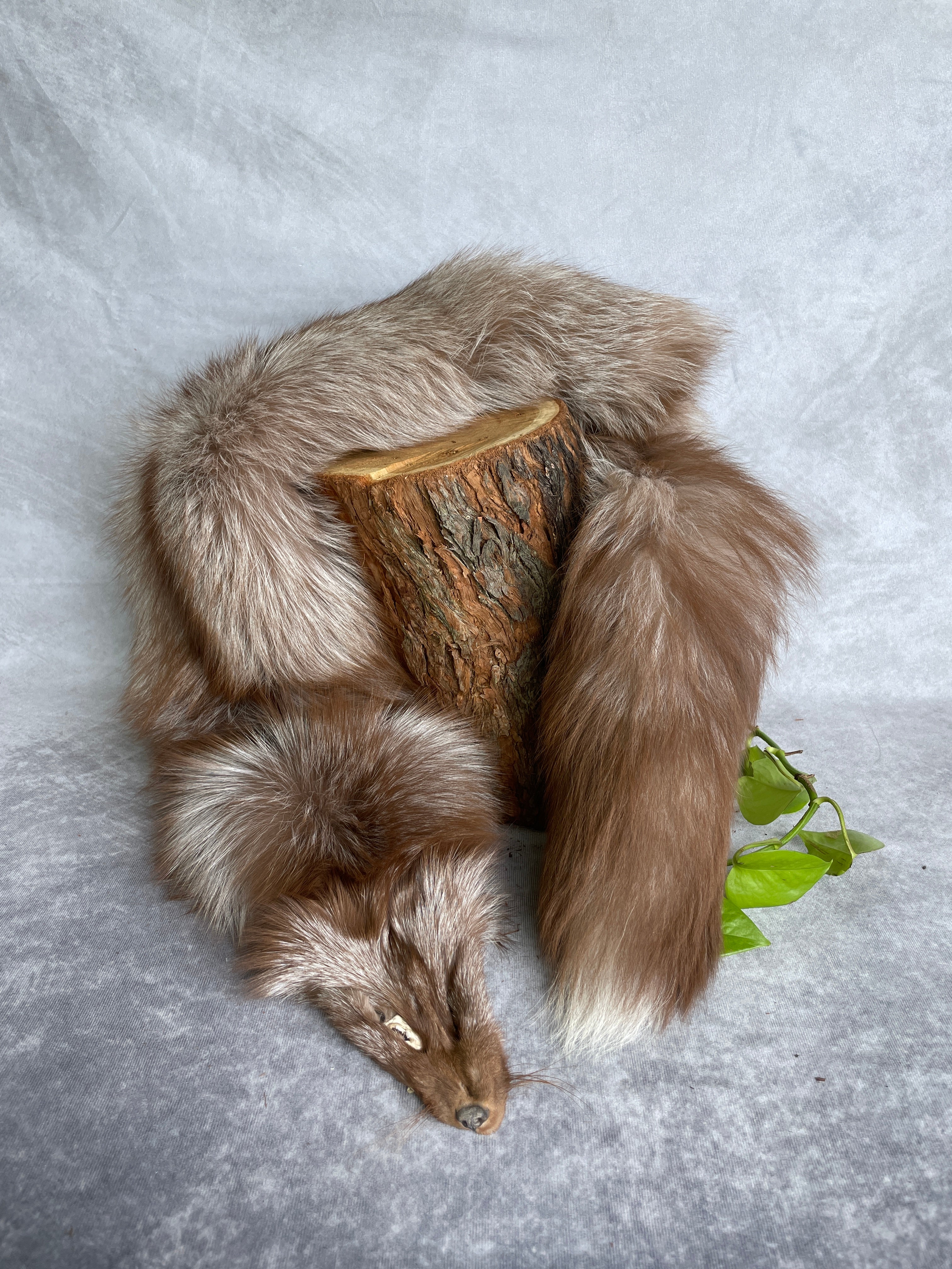 Specialty Skin - Fox Skins