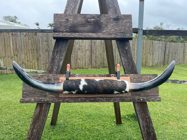 Mounted Cow Horns 03 (delivery extra on request)