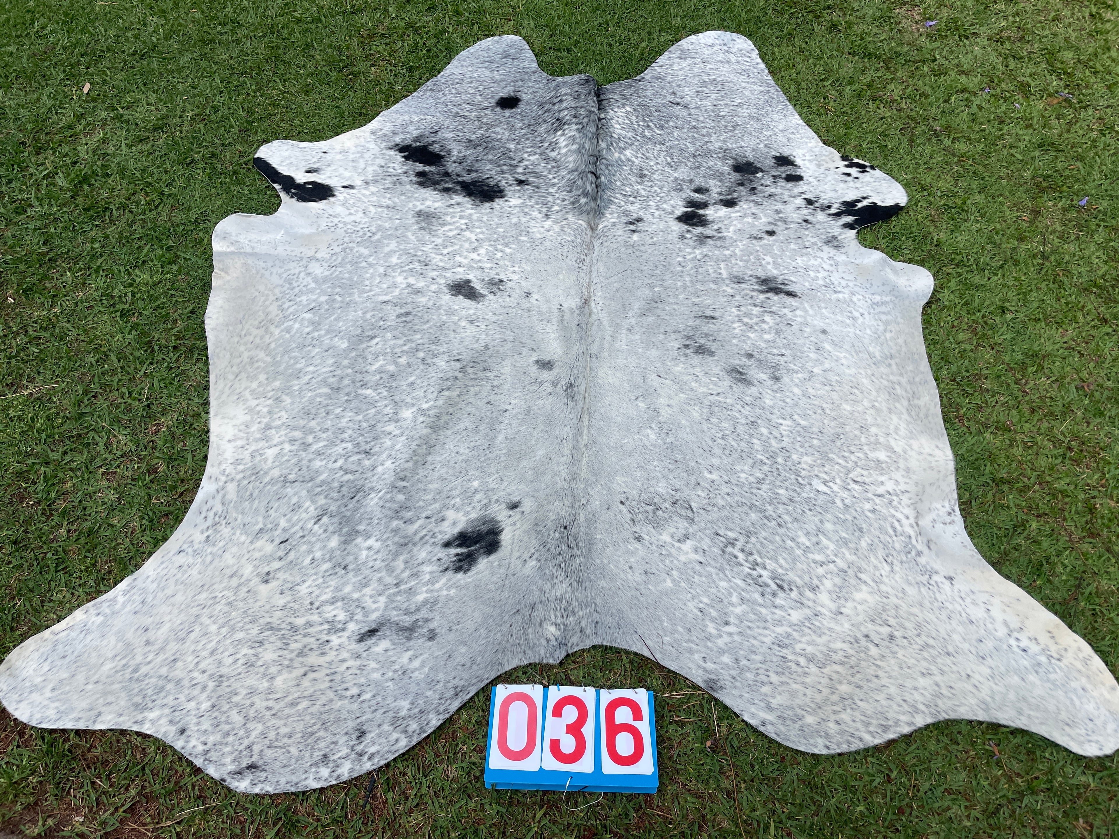 Cowhide 36 Salt & Pepper