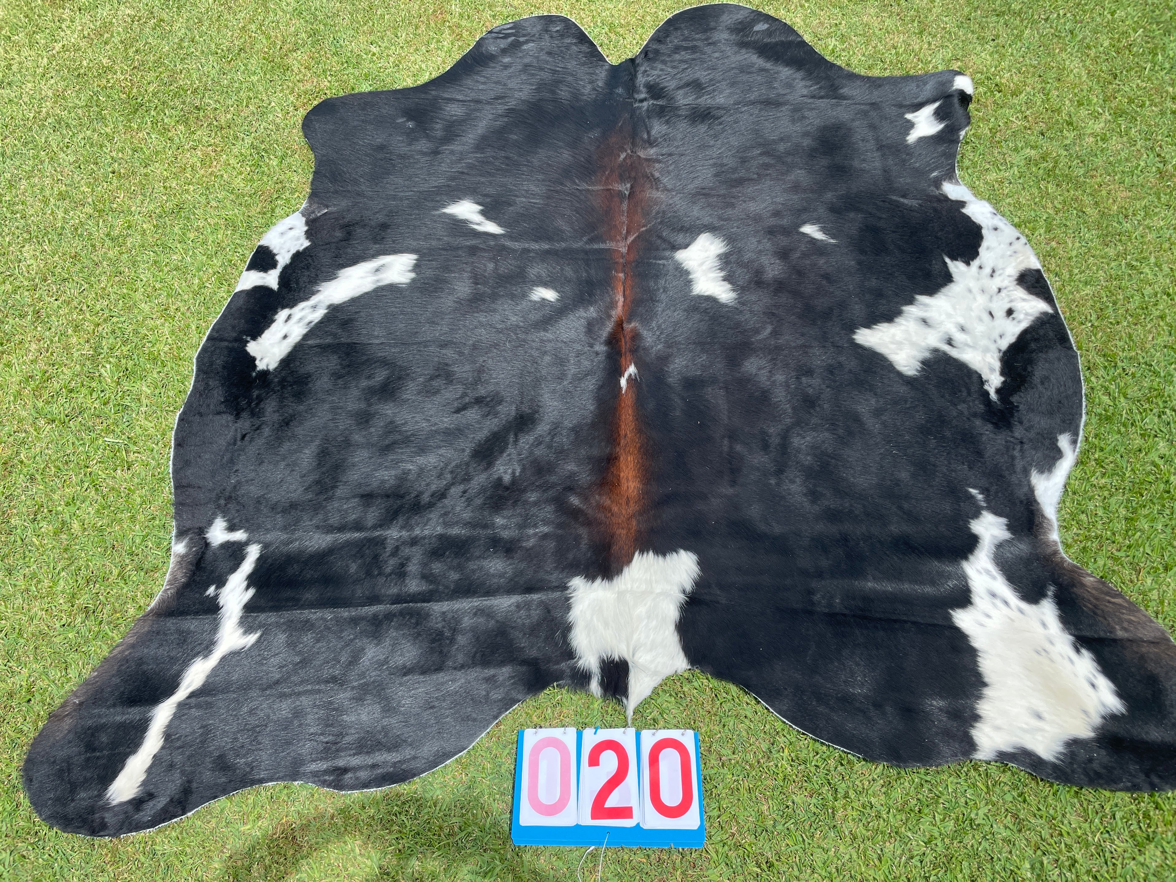 Cowhide 20 Black White & Red