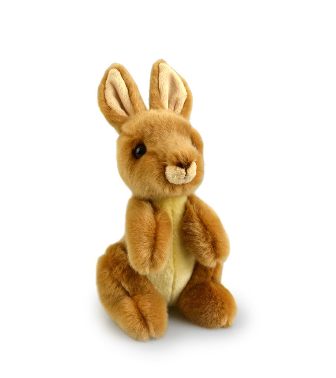 Toys - Soft Plush Animals
