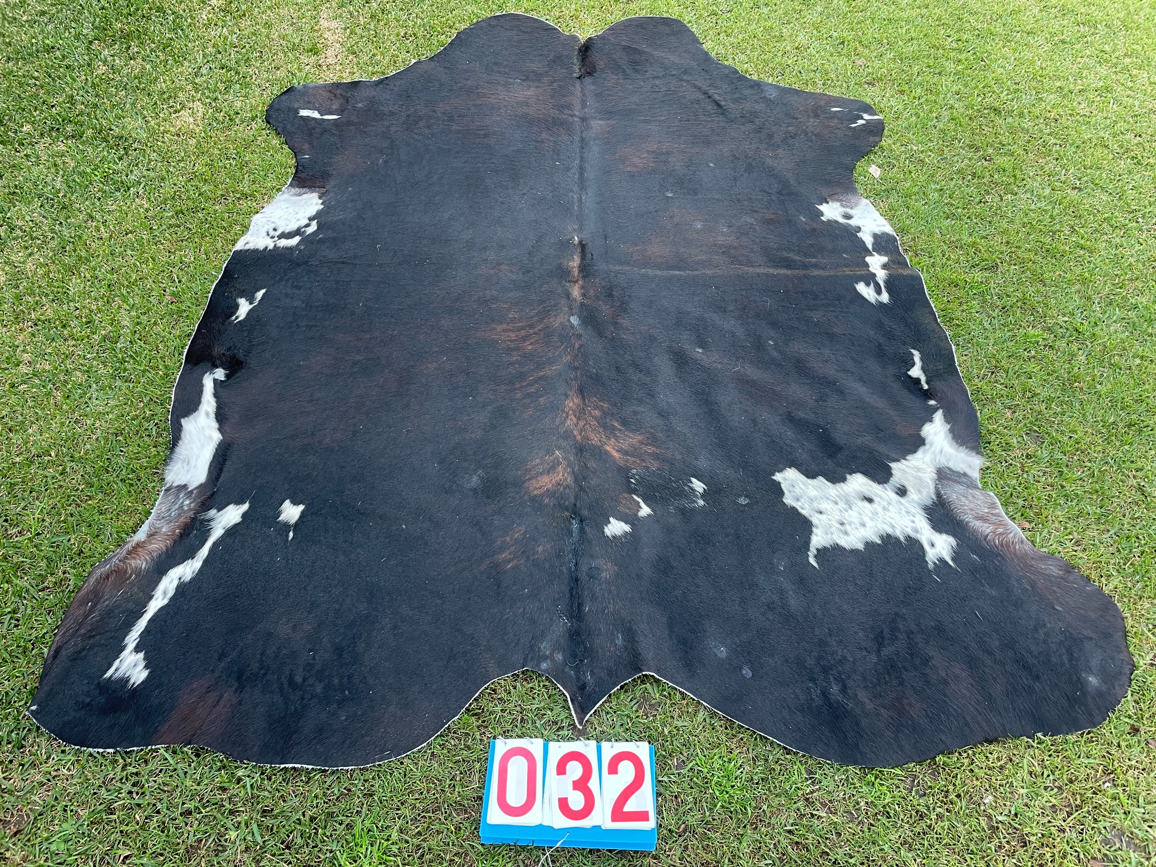 Cowhide 32 Black Brindle