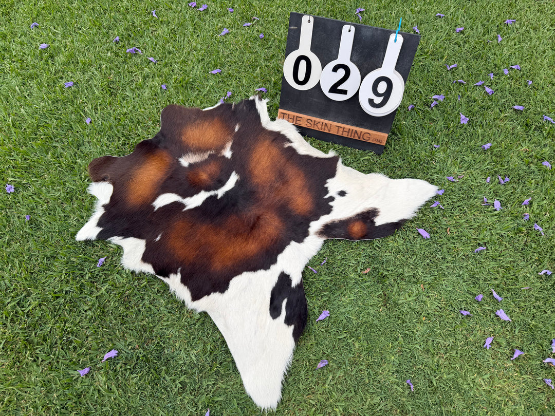 Calf Skin 29