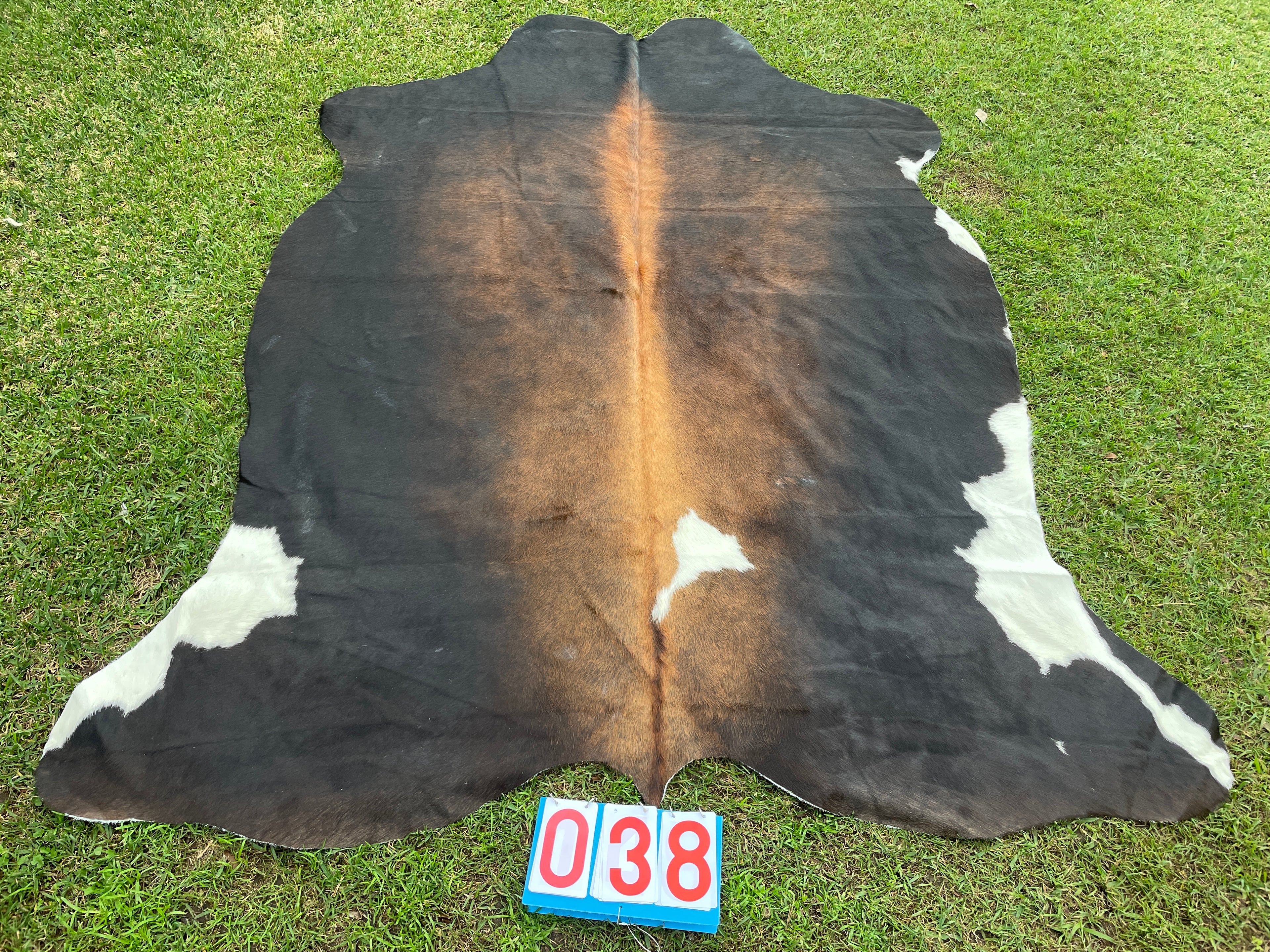 Cowhide 38 Black White Red