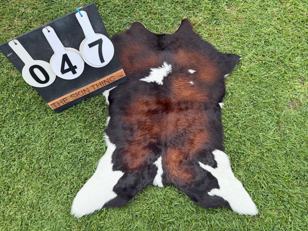 Calf Skin 47