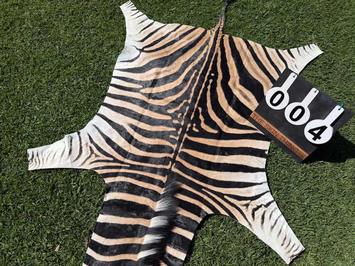 004 Specialty Skin - South African Zebra Skin (Real)