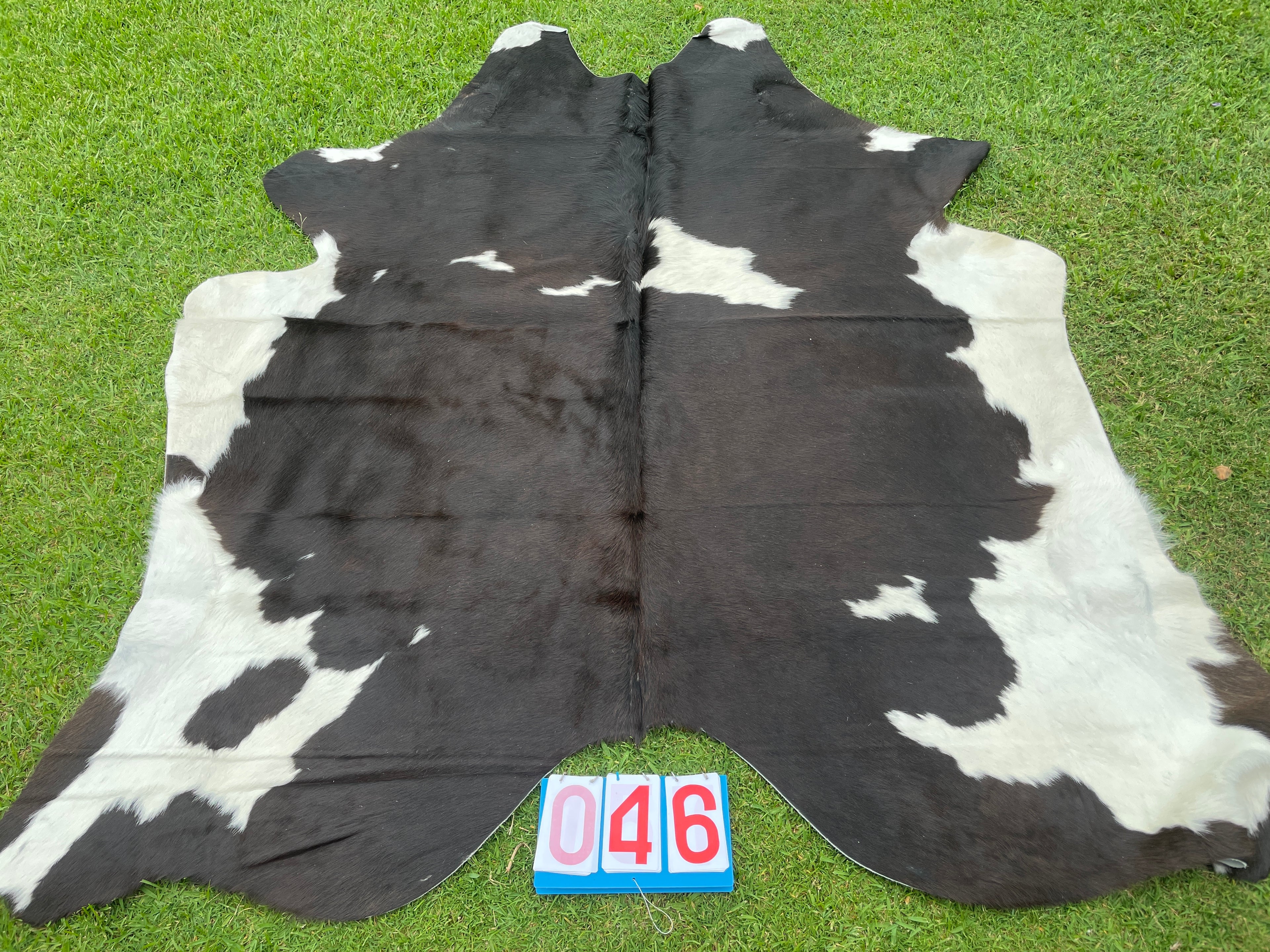 Cowhide 46 Black/Red & White