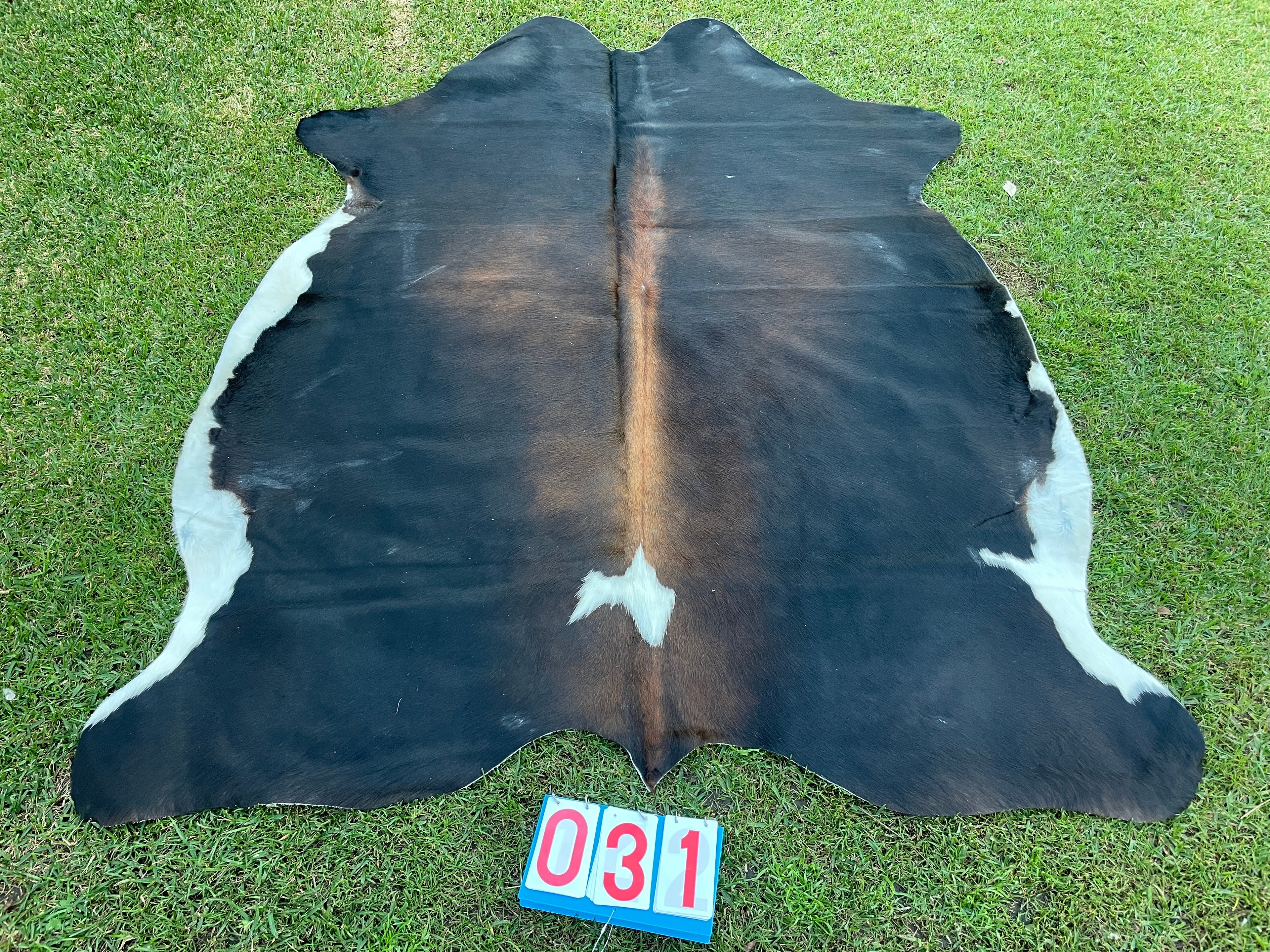 Cowhide 31 Black White Red