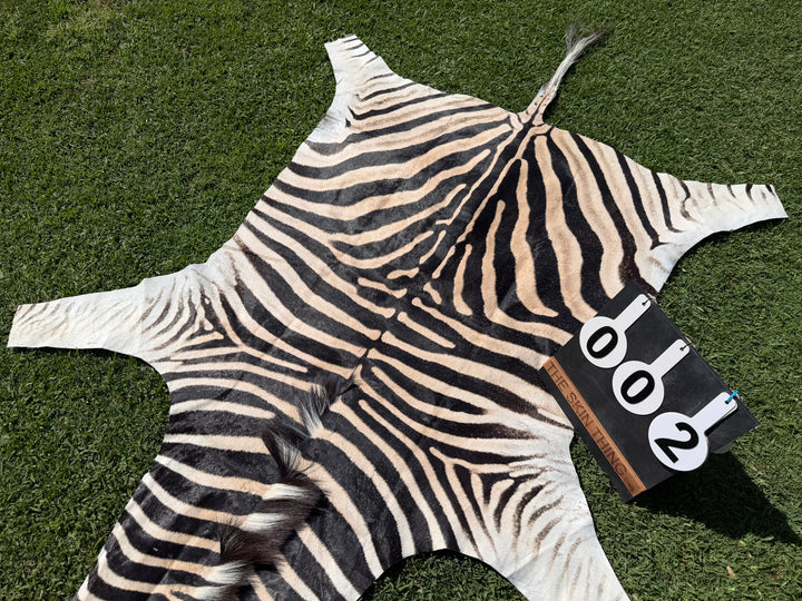 002 Specialty Skin - South African Zebra Skin (Real)