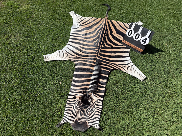 004 Specialty Skin - South African Zebra Skin (Real)
