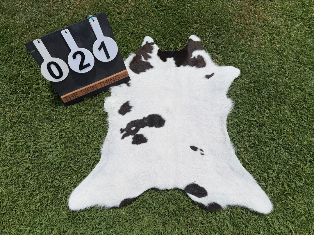 Calf Skin 21