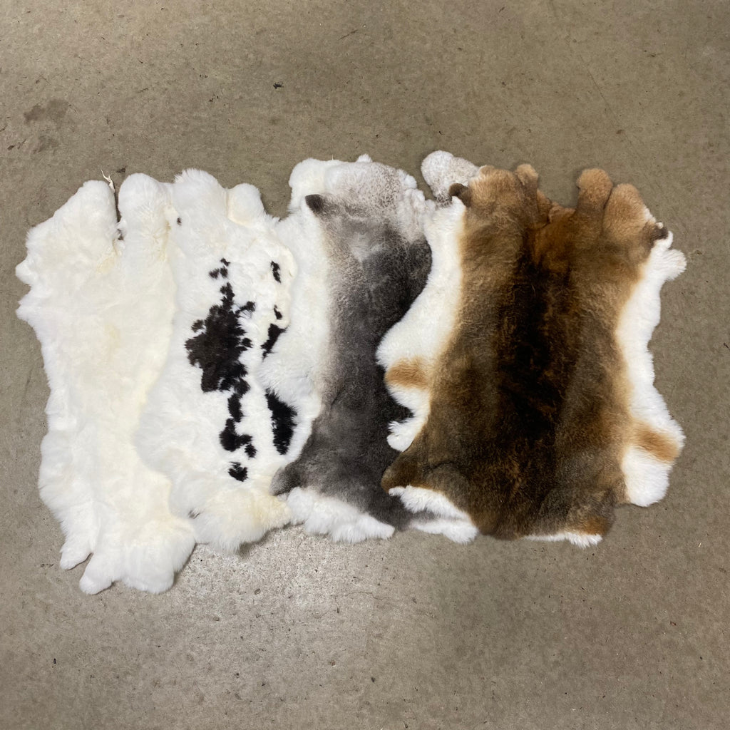 Specialty Skin - Rex Rabbit