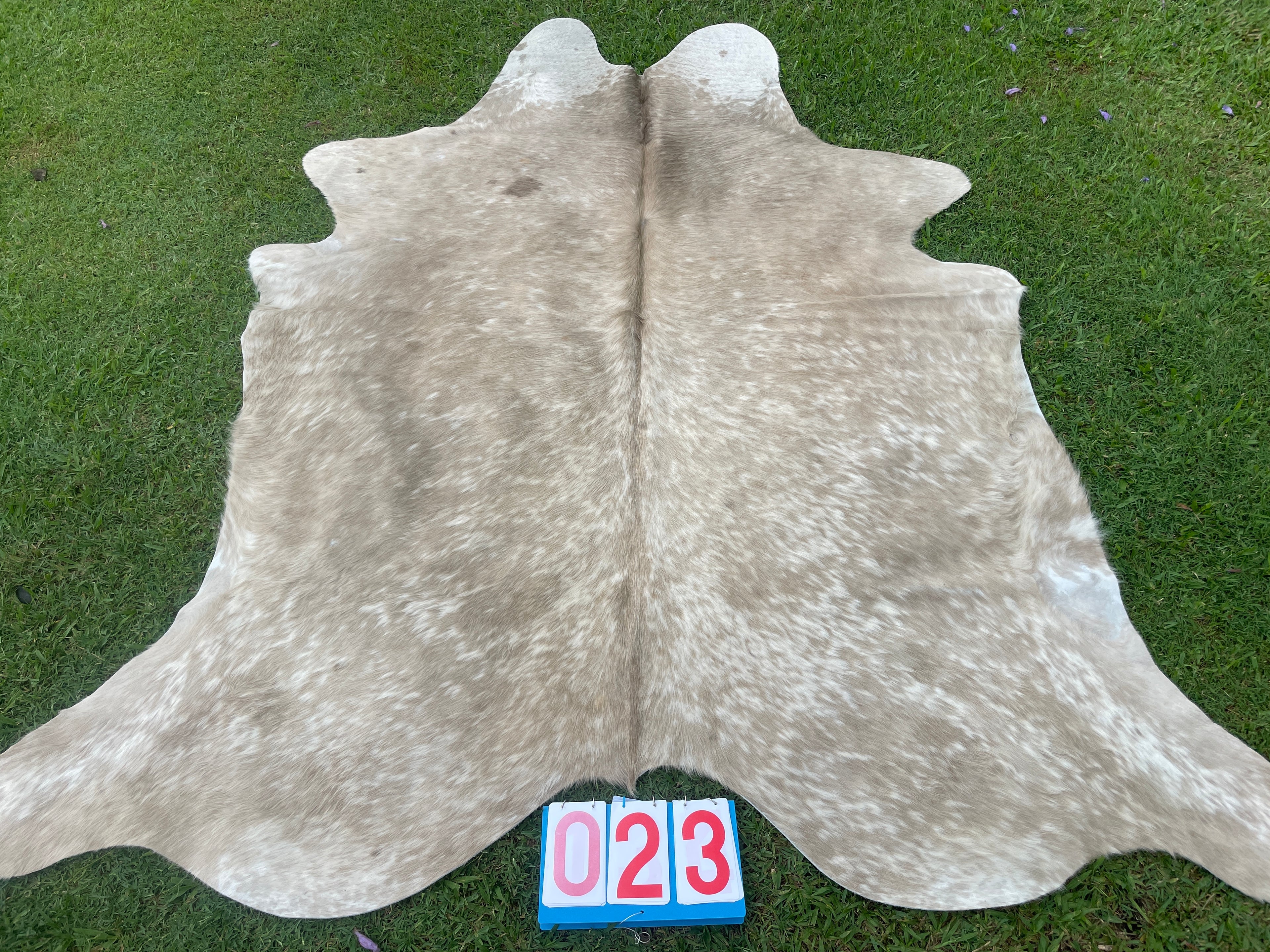 Cowhide 23 Mocha Speckled
