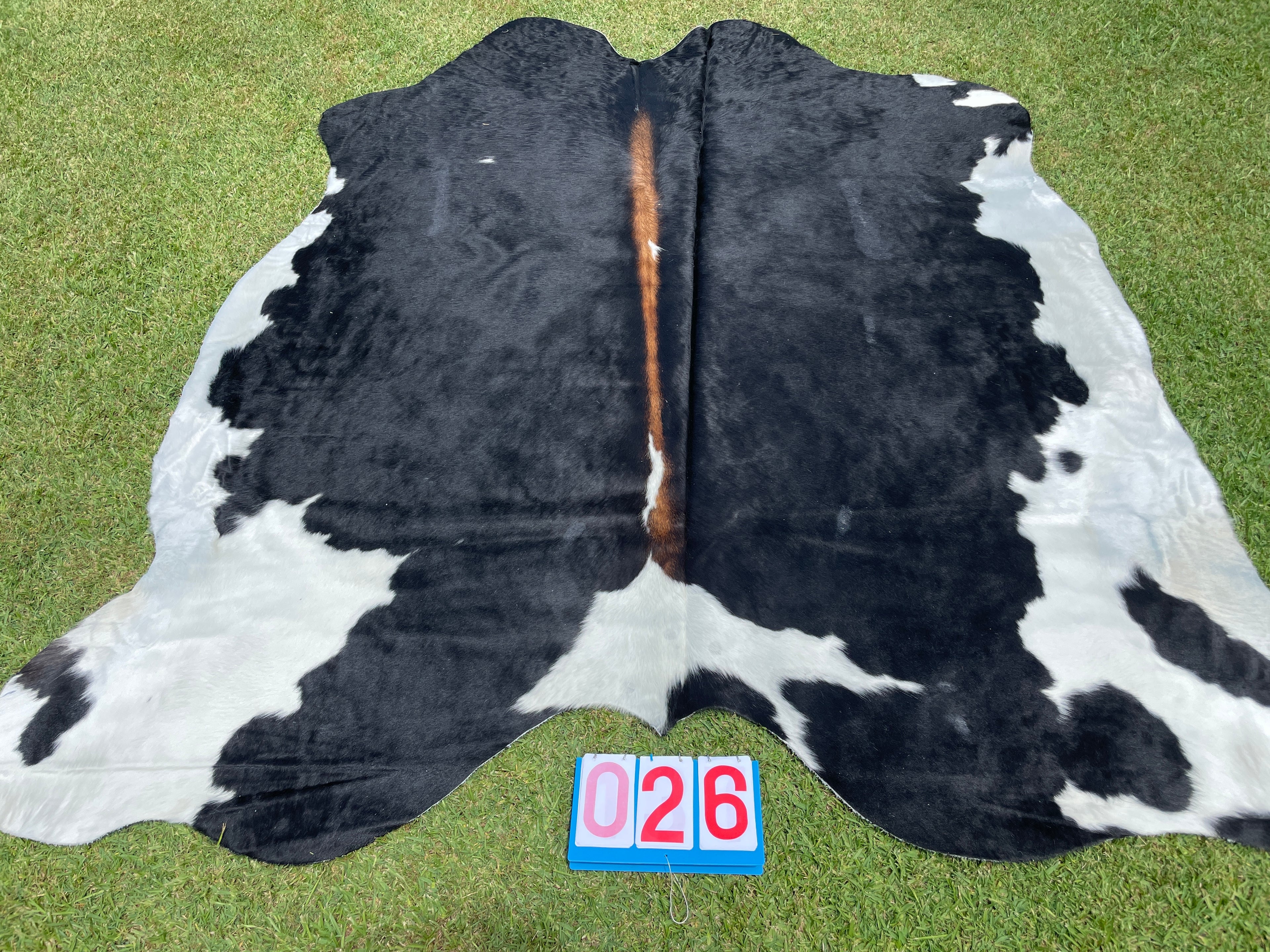 Cowhide 26 Black White & Red