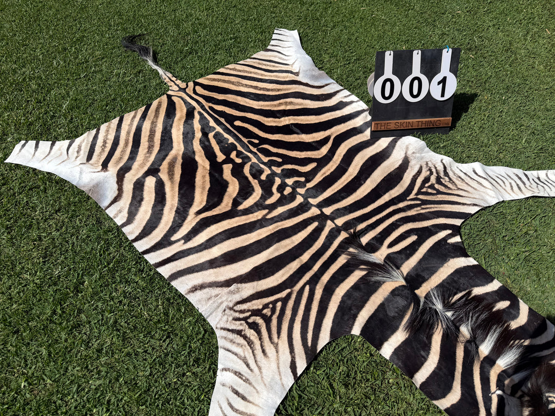 001 Specialty Skin - South African Zebra Skin (Real)