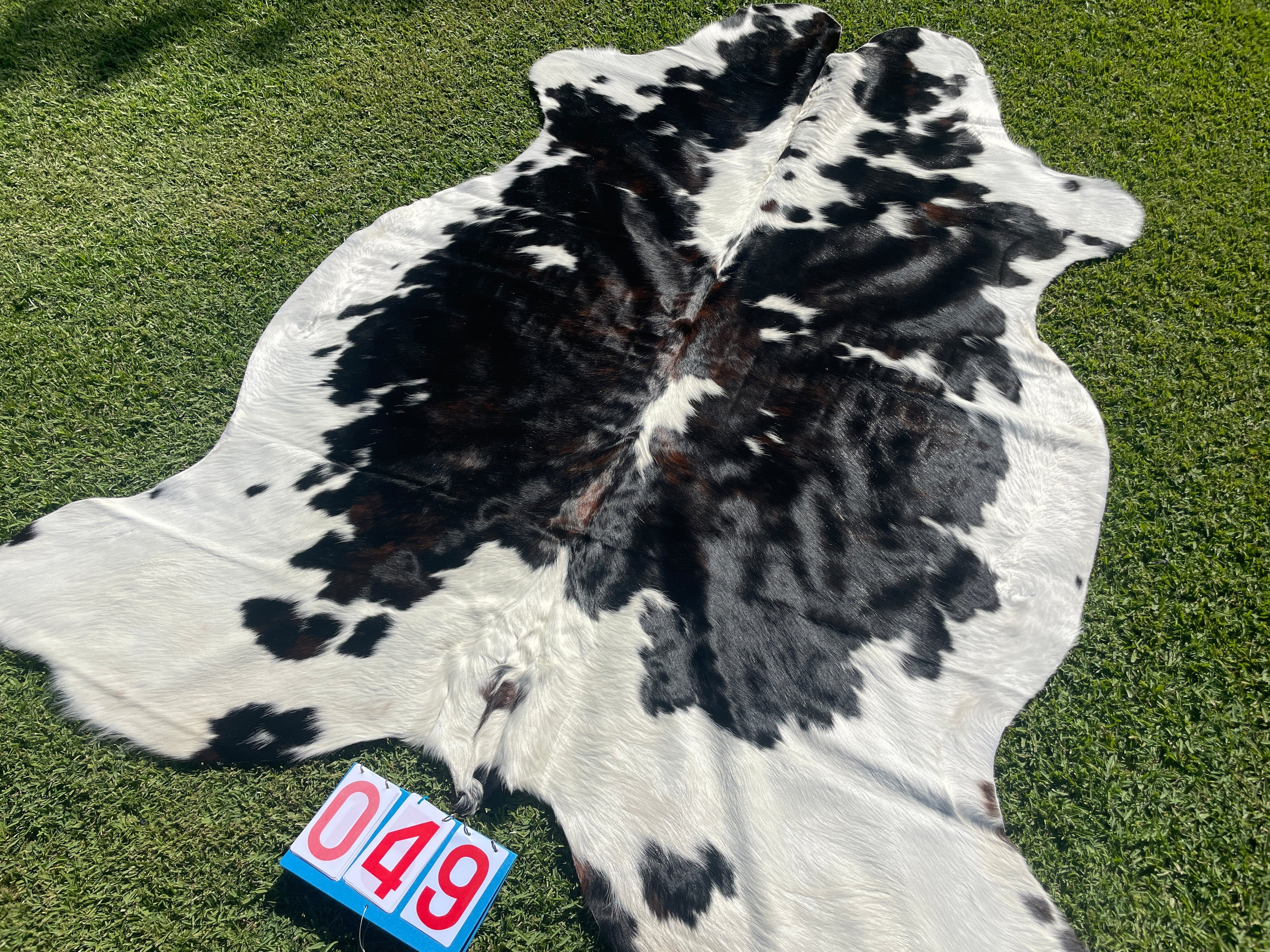 Cowhide 49 Brindle Tri Colour