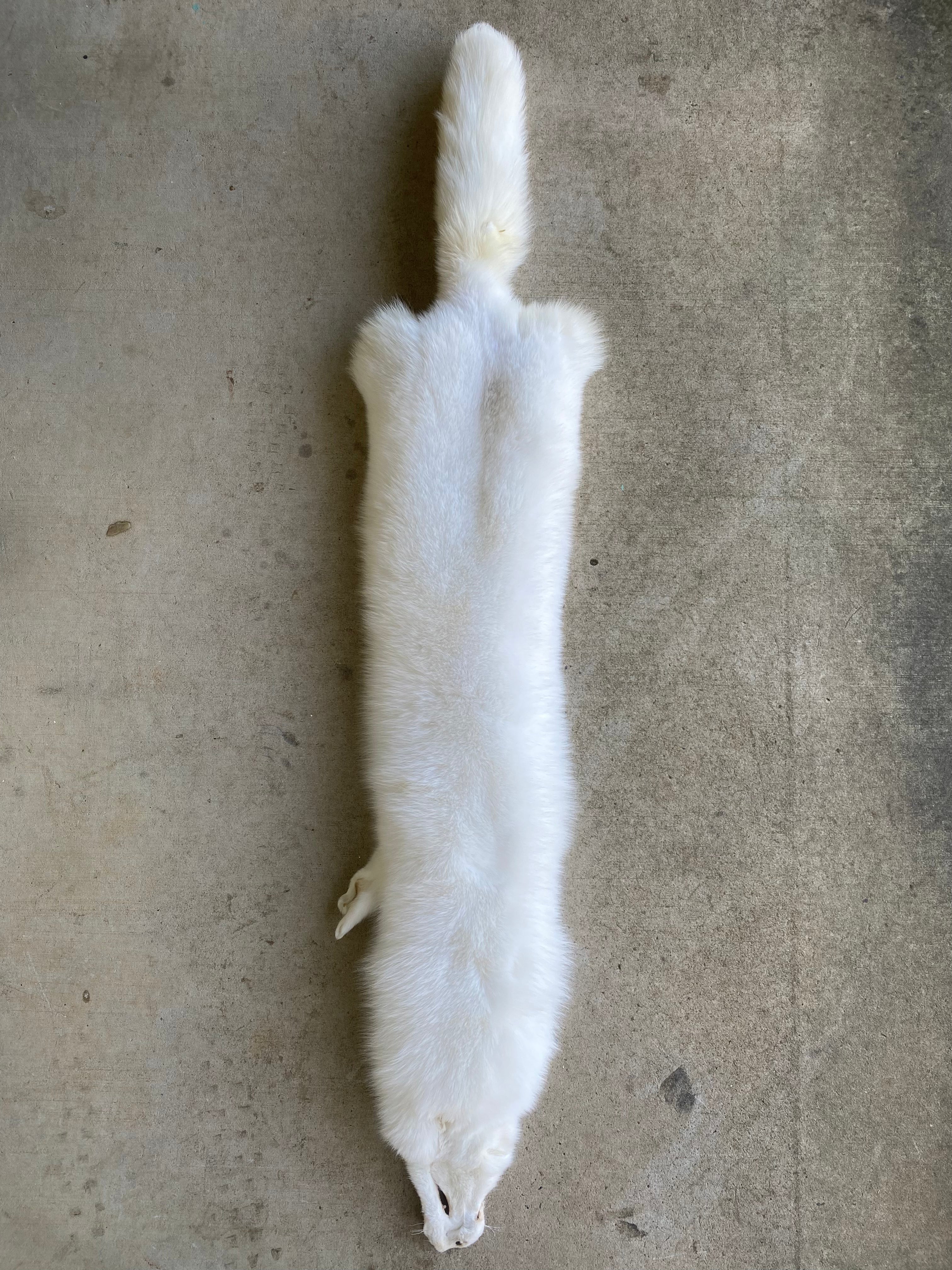 Specialty Skin - Fox Skins