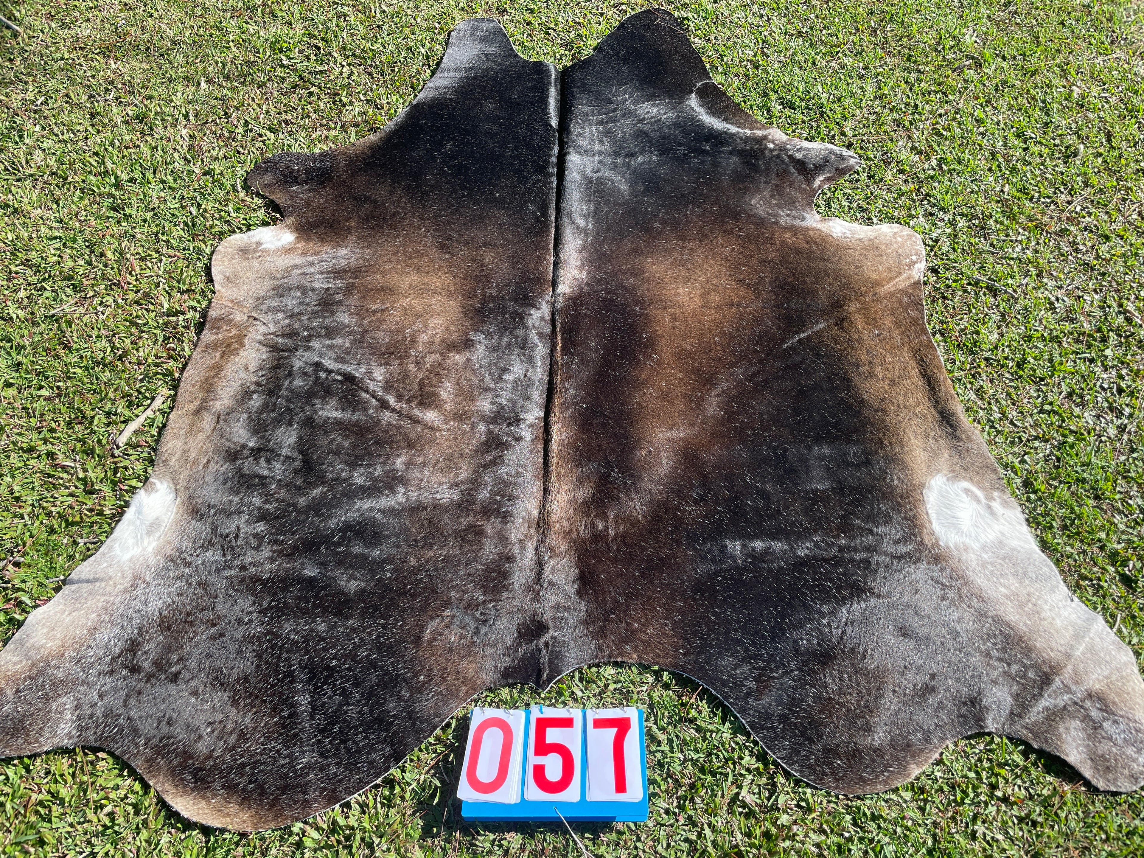 Cowhide 57 Rare Mocha