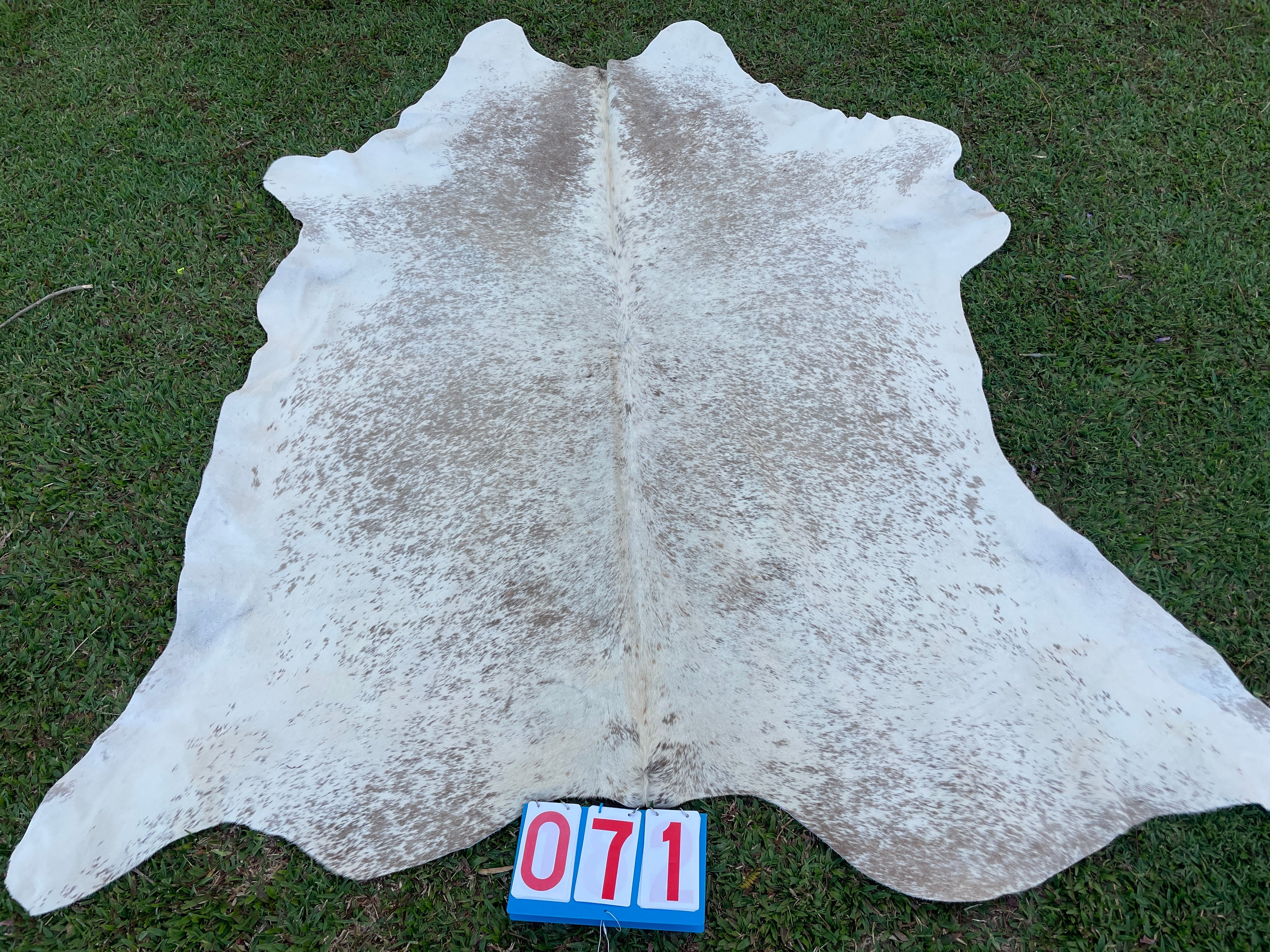 Cowhide 71 Beige Salt & Pepper