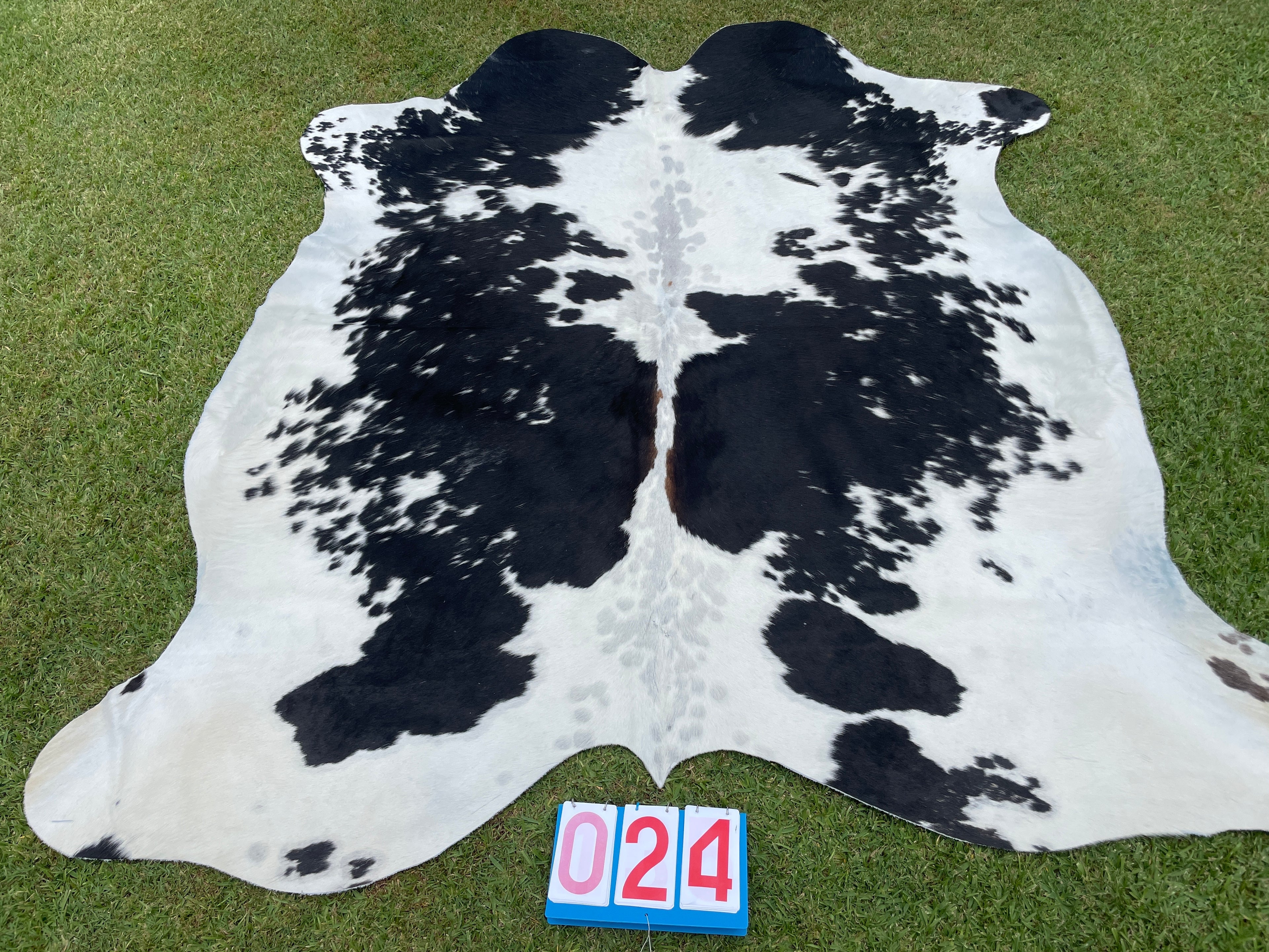 Cowhide 24 Black White & Red Speckled