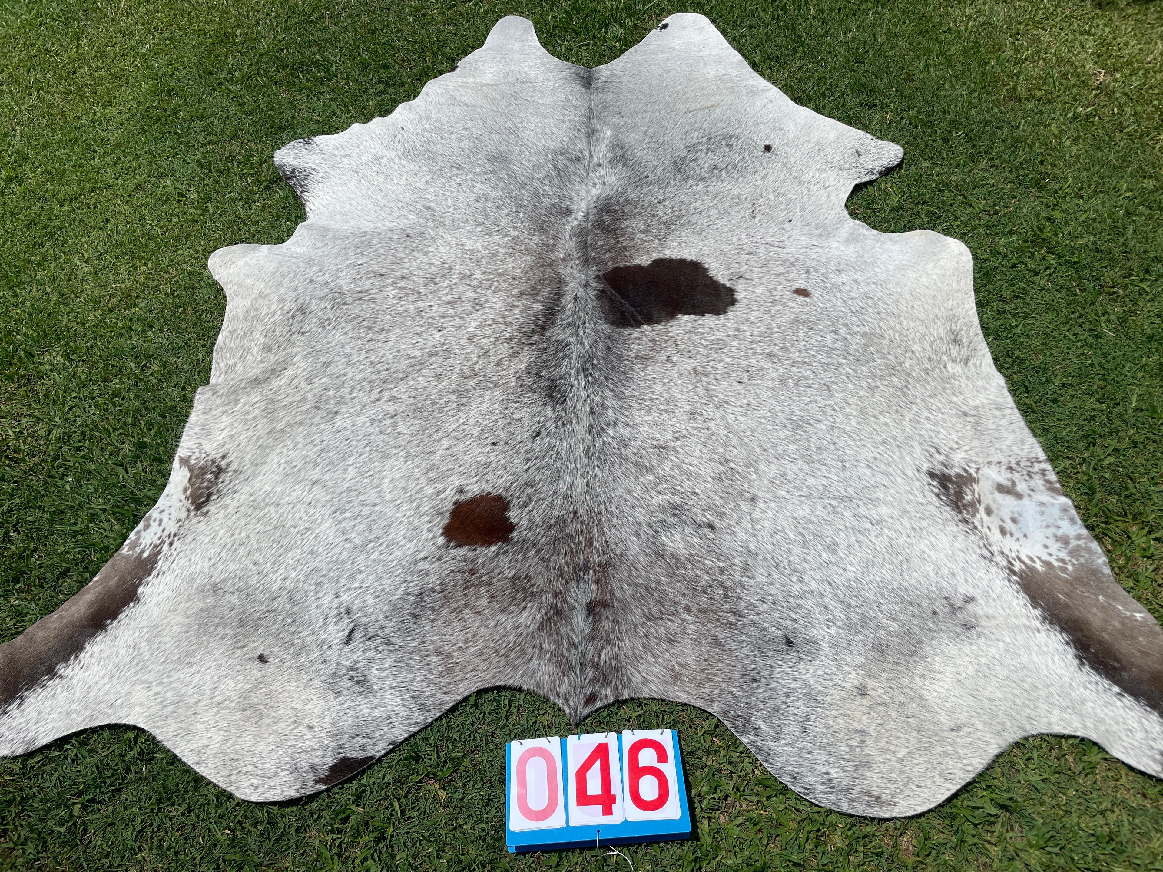 Cowhide 46 Salt & Pepper Tri Colour