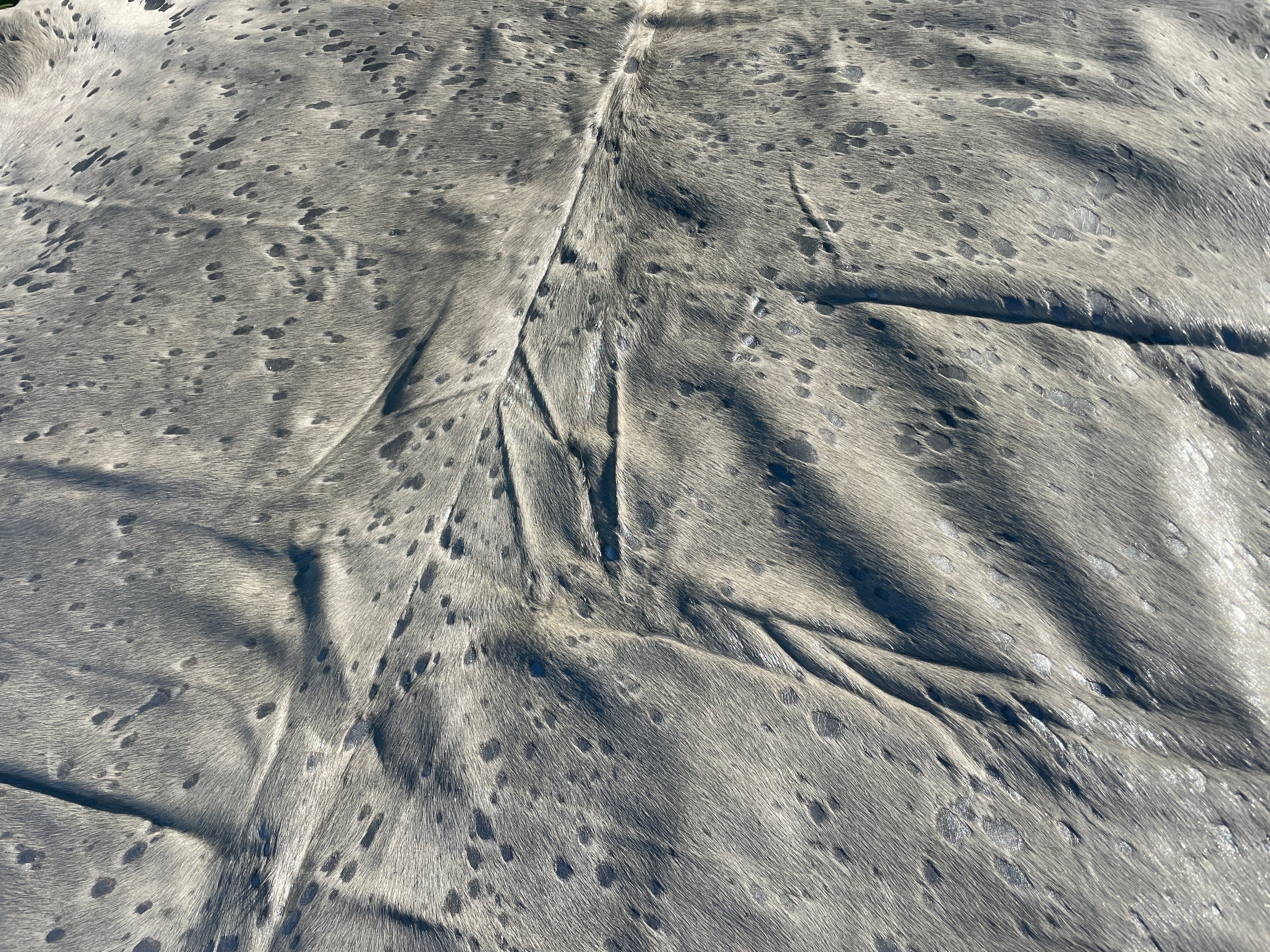 Cowhides - Metallic/ Printed 17