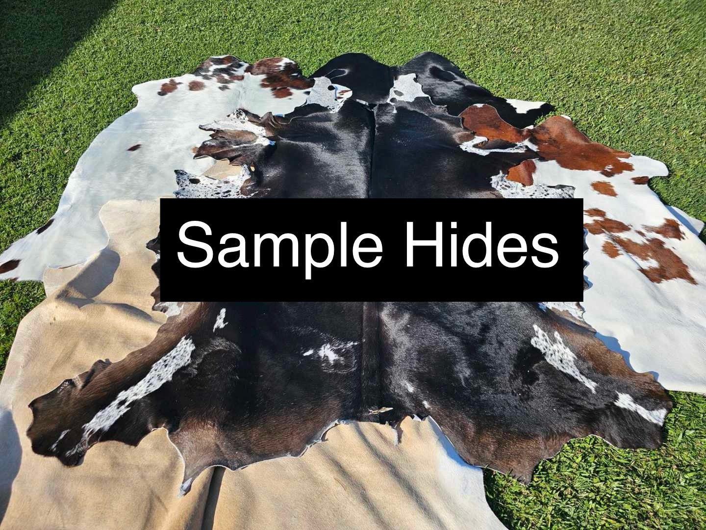 Cowhides - Second Grade