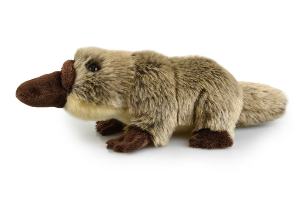 Toys - Soft Plush Animals