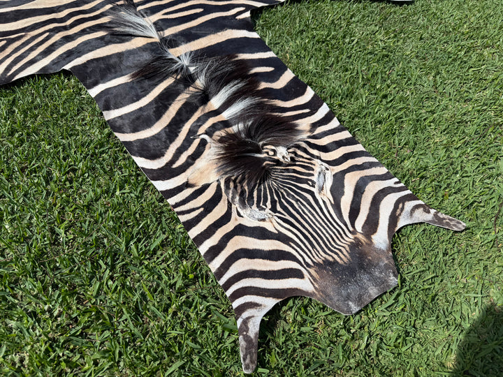001 Specialty Skin - South African Zebra Skin (Real)