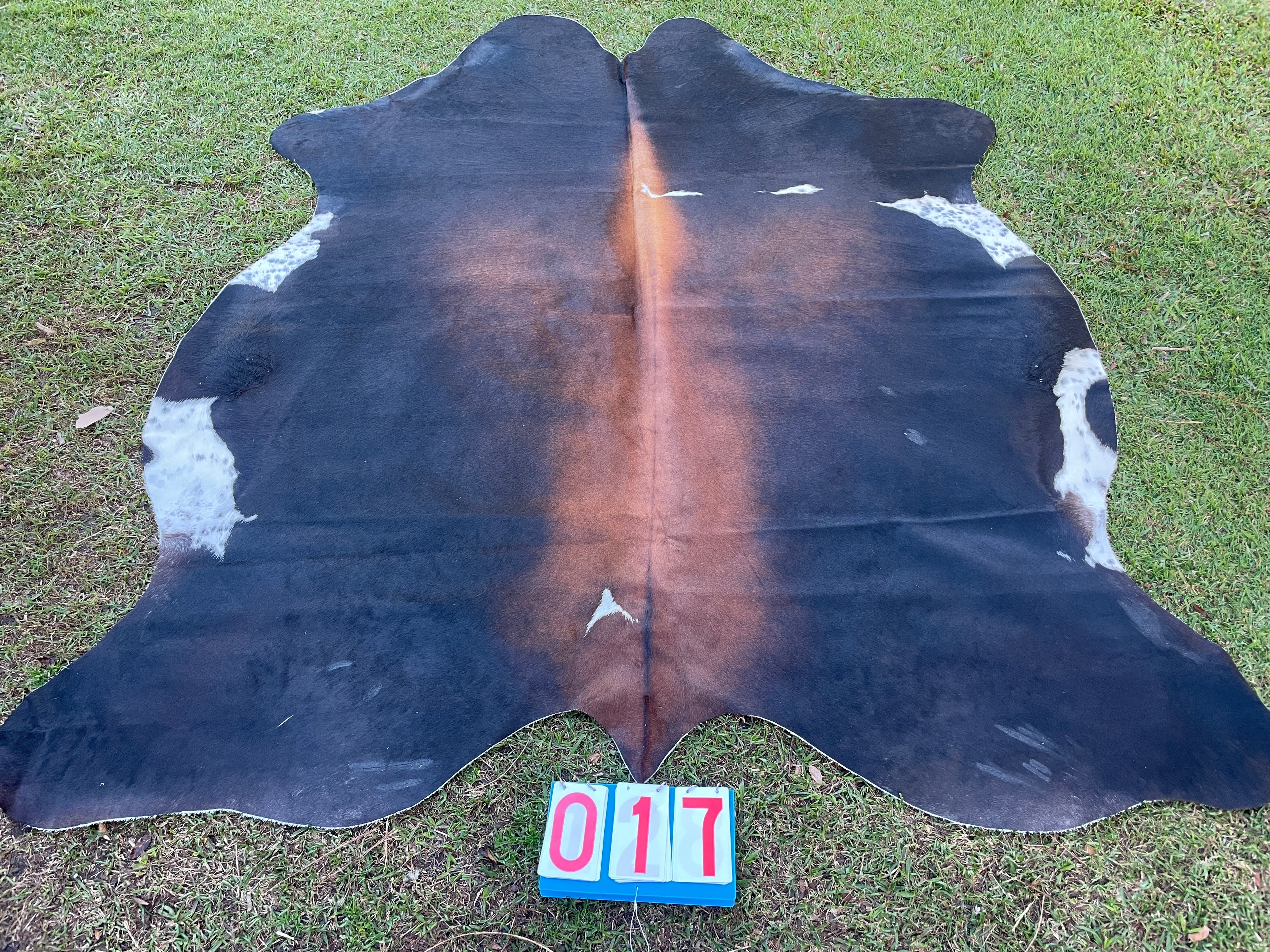 Cowhide 17 Black White Red