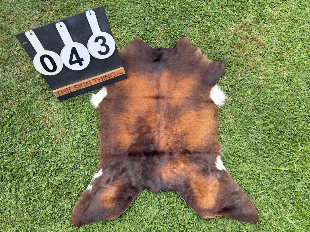 Calf Skin 43