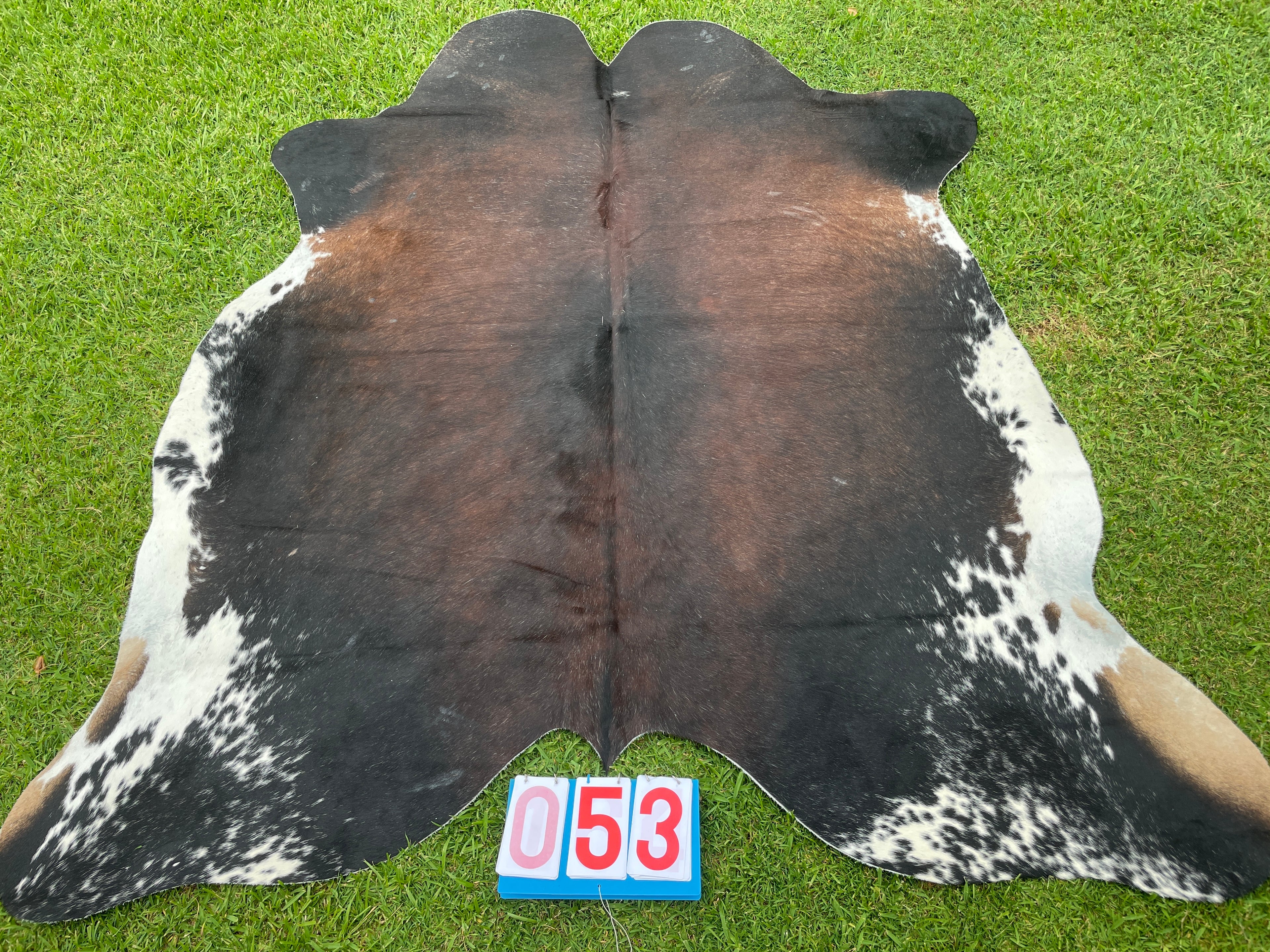 Cowhide 53 Black White Reddish